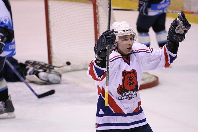 Ishockey vm stillinger forklaret: Hvem har kurs mod kvartfinalerne?